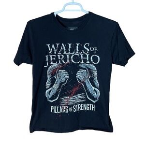 Walls of Jericho Americana MMA T-shirt Mens Large Casual Streetwear Fights Logo